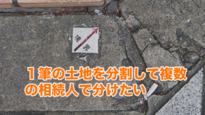 1筆の土地を分割して複数の相続人で分けたい